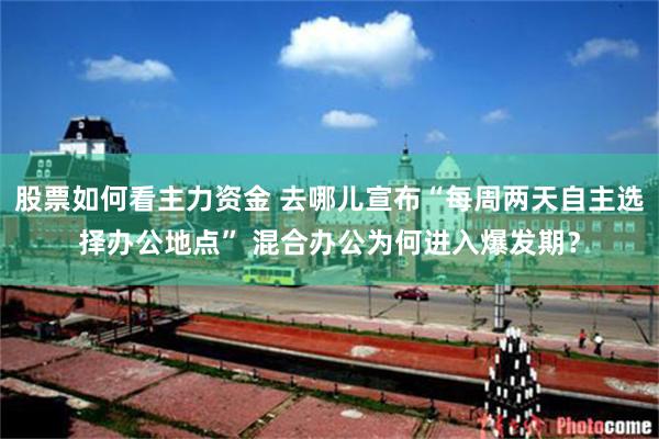 股票如何看主力资金 去哪儿宣布“每周两天自主选择办公地点” 混合办公为何进入爆发期？