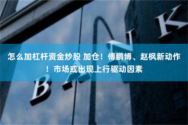 怎么加杠杆资金炒股 加仓！傅鹏博、赵枫新动作！市场或出现上行驱动因素