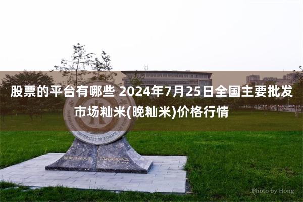 股票的平台有哪些 2024年7月25日全国主要批发市场籼米(晚籼米)价格行情