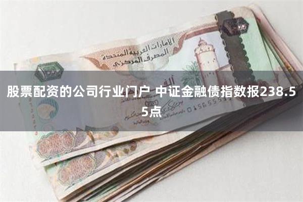 股票配资的公司行业门户 中证金融债指数报238.55点