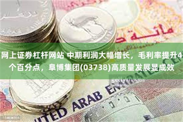 网上证劵杠杆网站 中期利润大幅增长，毛利率提升4个百分点，阜博集团(03738)高质量发展显成效