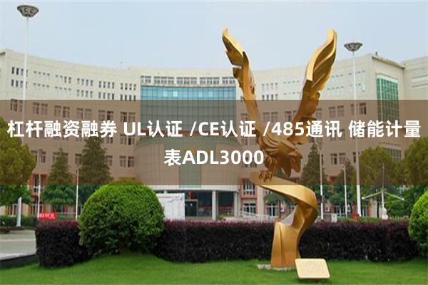 杠杆融资融券 UL认证 /CE认证 /485通讯 储能计量表ADL3000