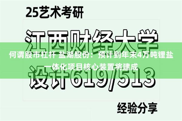 何谓股市杠杆 盐湖股份：预计到年末4万吨锂盐一体化项目核心装置将建成