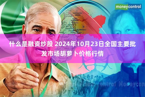 什么是融资炒股 2024年10月23日全国主要批发市场胡萝卜价格行情