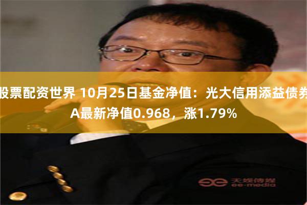 股票配资世界 10月25日基金净值：光大信用添益债券A最新净值0.968，涨1.79%