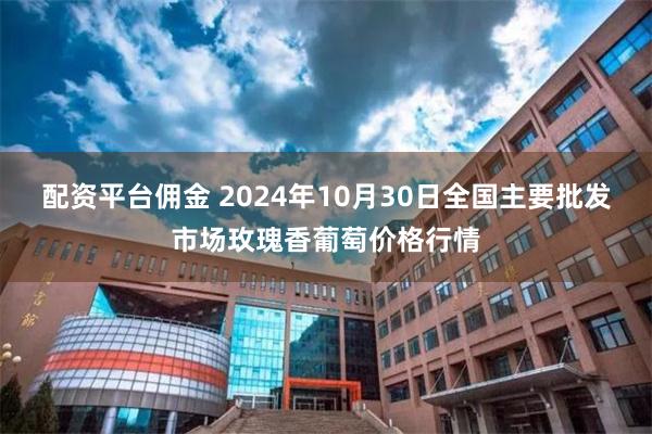 配资平台佣金 2024年10月30日全国主要批发市场玫瑰香葡萄价格行情