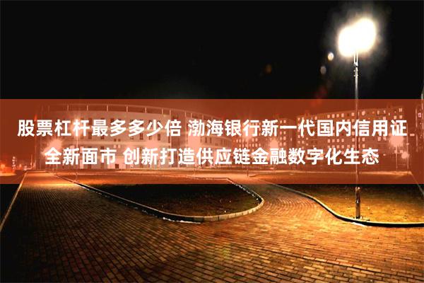 股票杠杆最多多少倍 渤海银行新一代国内信用证全新面市 创新打造供应链金融数字化生态