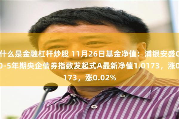 什么是金融杠杆炒股 11月26日基金净值：浦银安盛CFETS0-5年期央企债券指数发起式A最新净值1.0173，涨0.02%