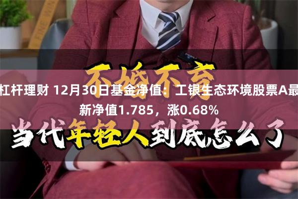 杠杆理财 12月30日基金净值：工银生态环境股票A最新净值1.785，涨0.68%