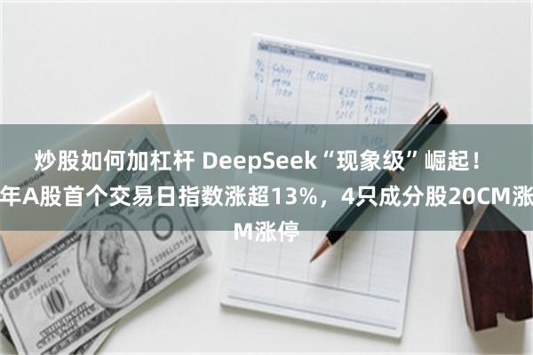 炒股如何加杠杆 DeepSeek“现象级”崛起！ 蛇年A股首个交易日指数涨超13%，4只成分股20CM涨停