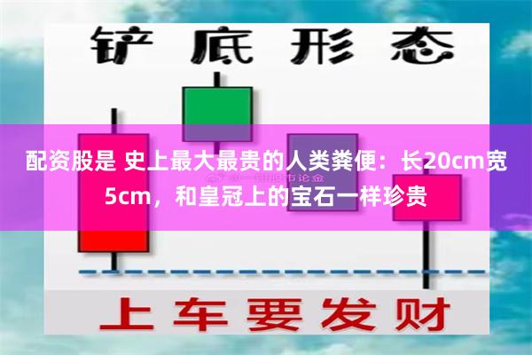 配资股是 史上最大最贵的人类粪便：长20cm宽5cm，和皇冠上的宝石一样珍贵