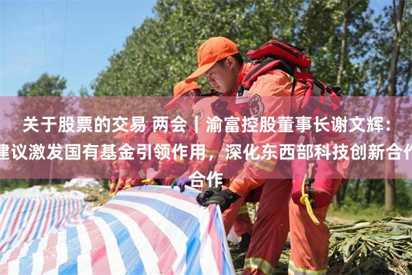 关于股票的交易 两会｜渝富控股董事长谢文辉：建议激发国有基金引领作用，深化东西部科技创新合作